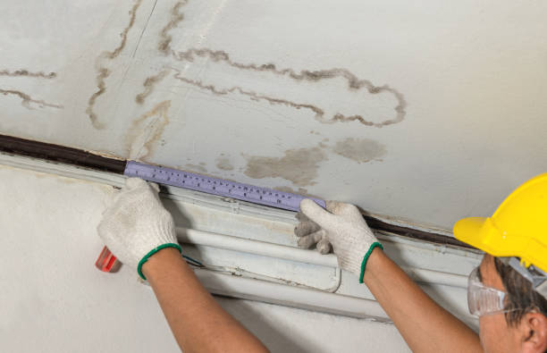 Reliable Sewage Cleanup contractor in Sheridan, IL by Water Damage Irwin
